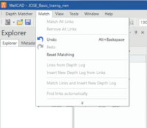 WellCAD 5.8 Новые функции Undo Отменить Redo Повторить and Reset MatchingСбросить