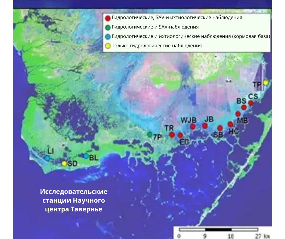Добавить заголовок 19