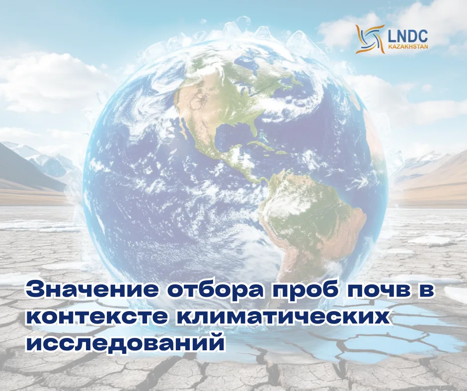 Значение отбора проб почв в контексте климатических исследований