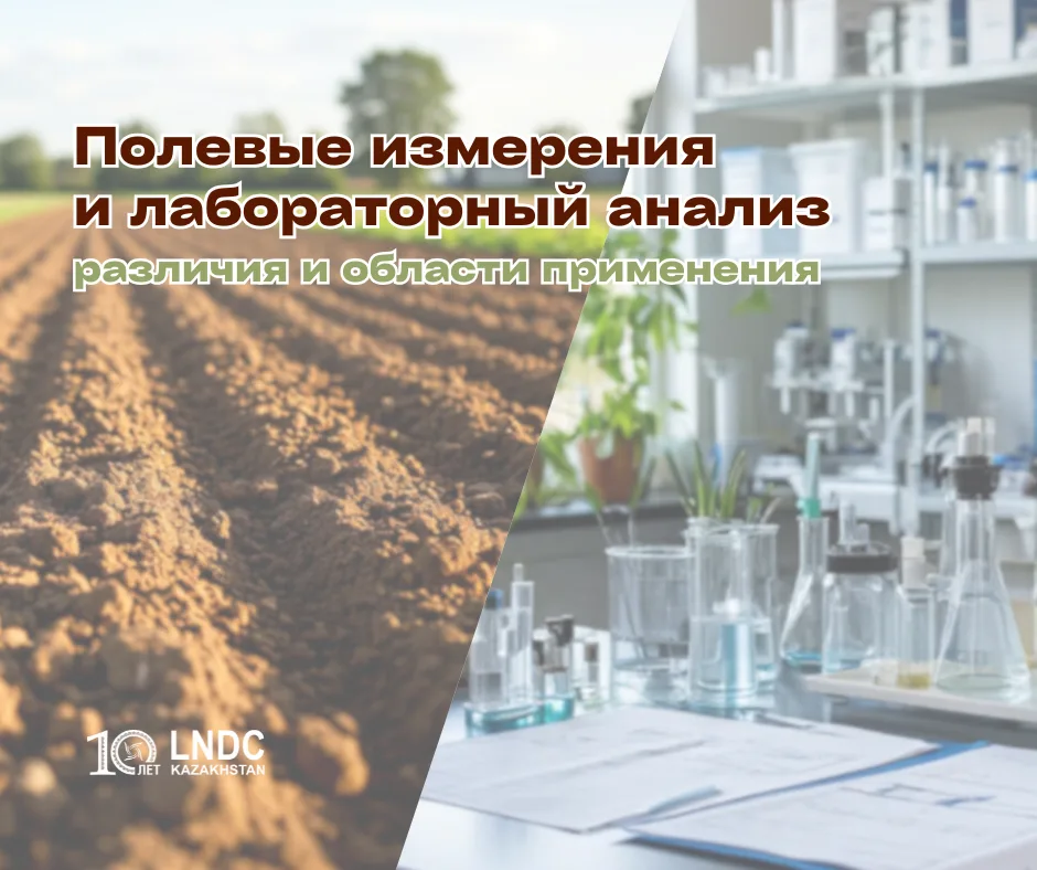 Полевые измерения и лабораторный анализ: различия и области применения